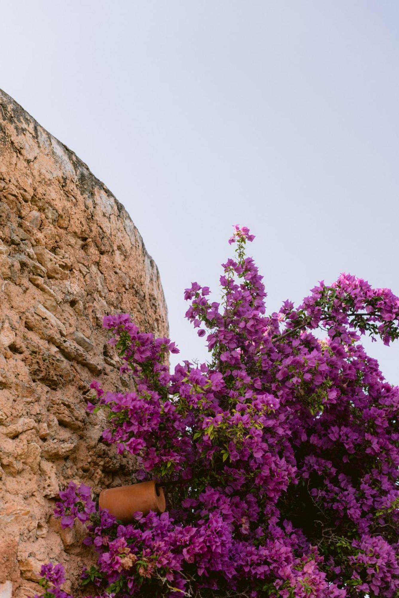 Can Quince Balafia Ibiza Hotel - Turismo De Interior Sant Llorenc de Balafia Exterior photo